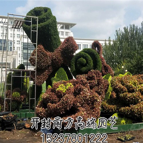 遼寧省交通高等專科學校五色草造型