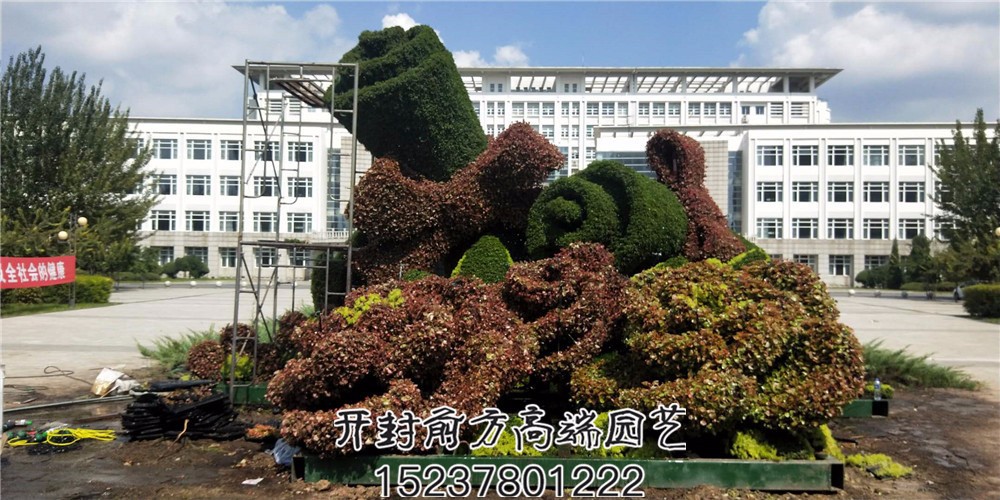 遼寧省交通高等?？茖W校五色草造型