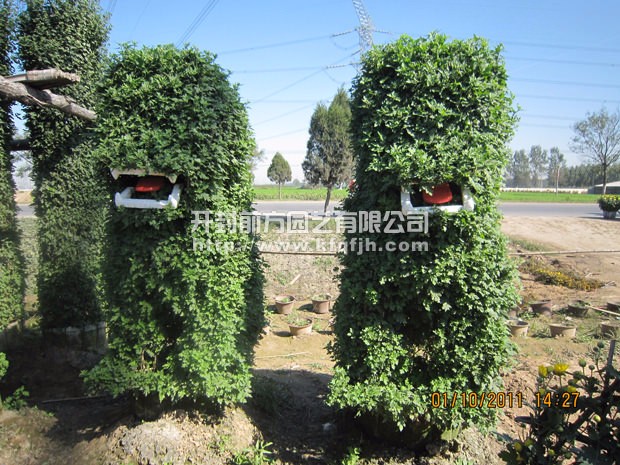?開封前方園藝——菊花造型廠家直銷