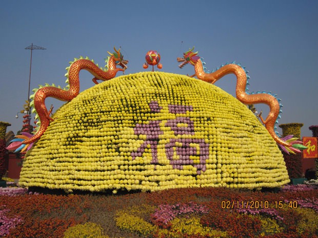 ?開(kāi)封前方園藝——菊花造型廠(chǎng)家直銷(xiāo)
