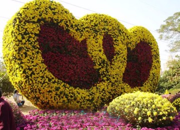 ?開(kāi)封前方園藝——菊花造型廠(chǎng)家直銷(xiāo)