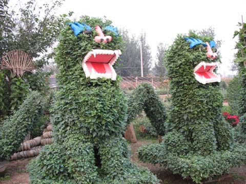 ?開封前方園藝——菊花造型現(xiàn)貨供應(yīng)