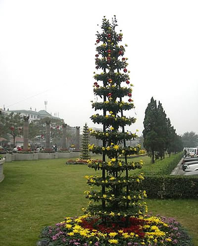 開(kāi)封前方園藝——菊花造型廠(chǎng)家直銷(xiāo)