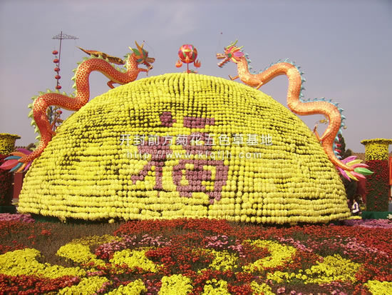 開(kāi)封前方園藝——菊花造型現(xiàn)貨供應(yīng)