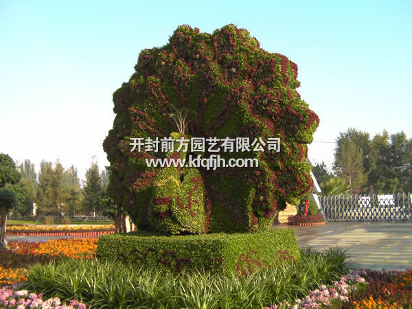 開封前方園藝——五色草立體花壇廠家直銷