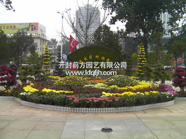 開(kāi)封前方園藝——五色草立體花壇廠(chǎng)家直銷(xiāo)