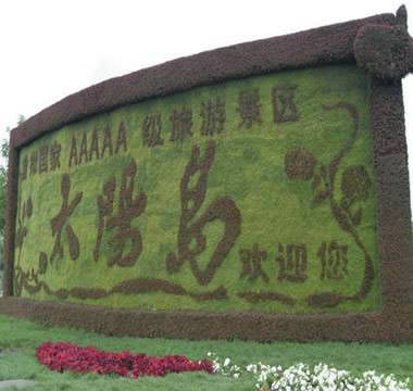 開(kāi)封前方園藝——五色草立體花壇廠(chǎng)家直銷(xiāo)