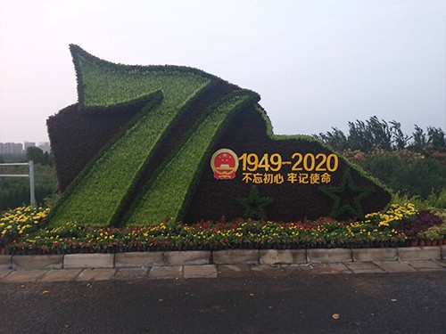 洛陽(yáng)五色草造型