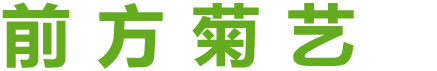 前方菊藝
